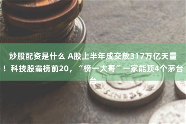 炒股配资是什么 A股上半年成交放317万亿天量！科技股霸榜前20，“榜一大哥”一家能顶4个茅台