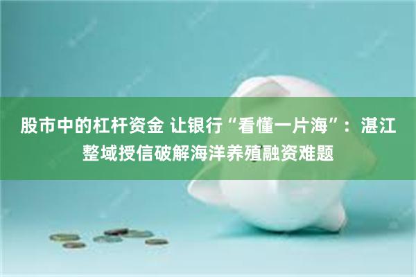 股市中的杠杆资金 让银行“看懂一片海”：湛江整域授信破解海洋养殖融资难题