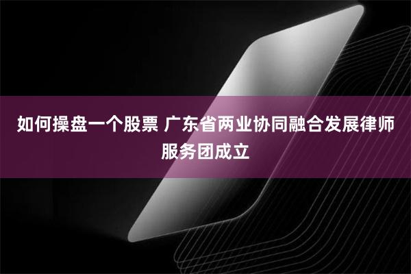 如何操盘一个股票 广东省两业协同融合发展律师服务团成立