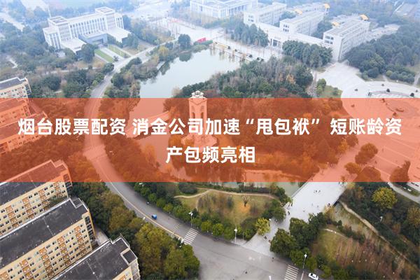 烟台股票配资 消金公司加速“甩包袱” 短账龄资产包频亮相