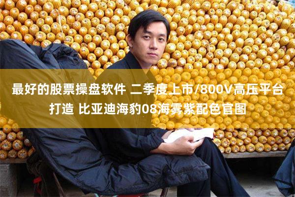 最好的股票操盘软件 二季度上市/800V高压平台打造 比亚迪海豹08海雾紫配色官图