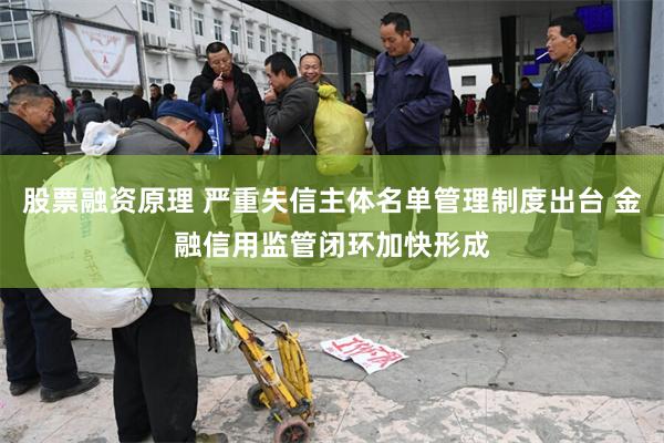 股票融资原理 严重失信主体名单管理制度出台 金融信用监管闭环加快形成