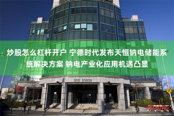 炒股怎么杠杆开户 宁德时代发布天恒钠电储能系统解决方案 钠电产业化应用机遇凸显