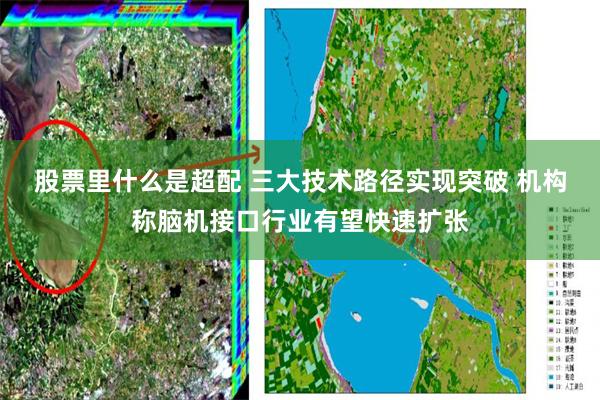股票里什么是超配 三大技术路径实现突破 机构称脑机接口行业有望快速扩张