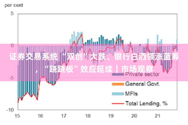 证券交易系统 “双创”大跌、银行白酒领涨蓝筹，“跷跷板”效应延续｜市场观察
