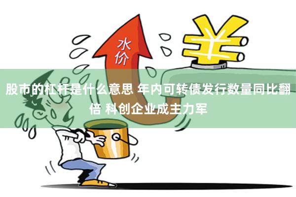 股市的杠杆是什么意思 年内可转债发行数量同比翻倍 科创企业成主力军