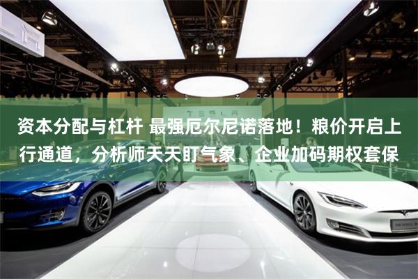 资本分配与杠杆 最强厄尔尼诺落地！粮价开启上行通道，分析师天天盯气象、企业加码期权套保