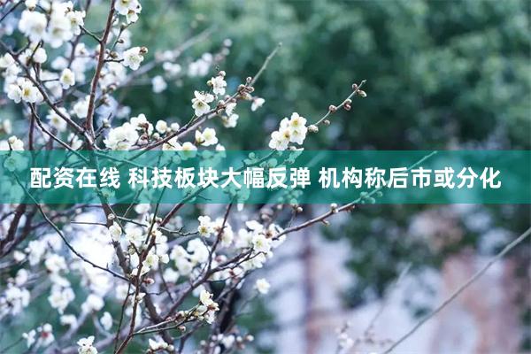 配资在线 科技板块大幅反弹 机构称后市或分化