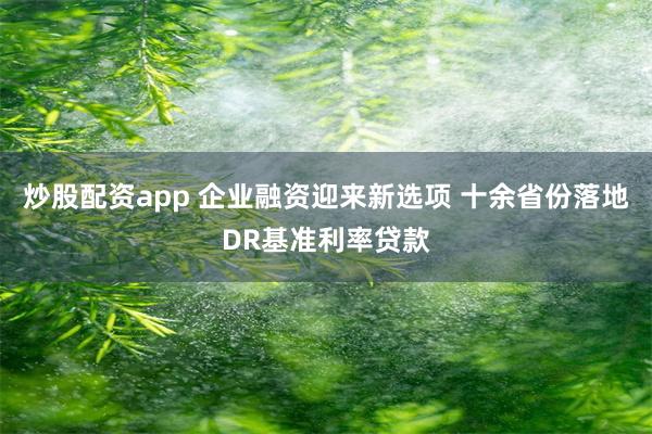 炒股配资app 企业融资迎来新选项 十余省份落地DR基准利率贷款
