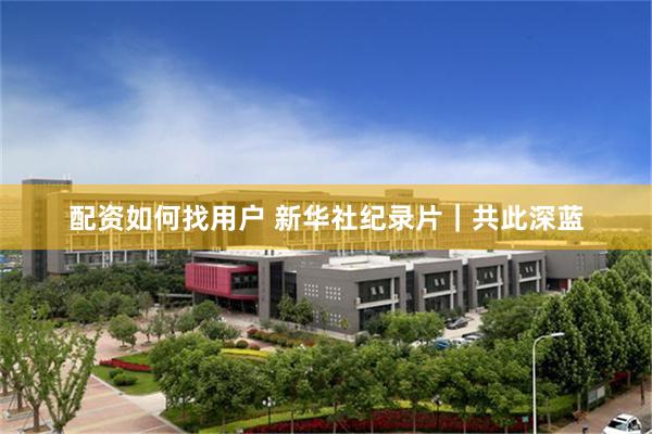 配资如何找用户 新华社纪录片｜共此深蓝