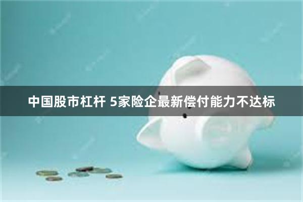 中国股市杠杆 5家险企最新偿付能力不达标