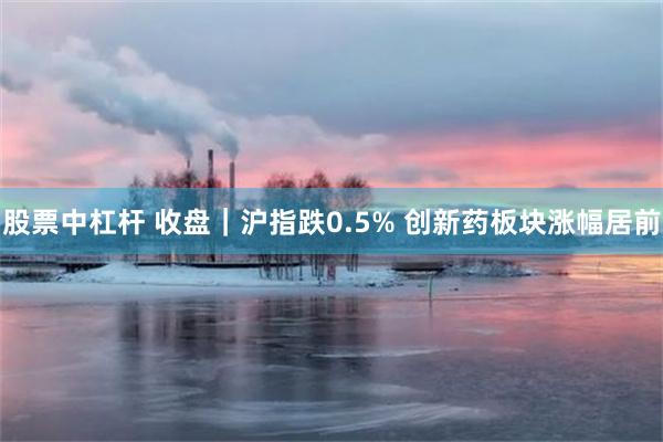 股票中杠杆 收盘｜沪指跌0.5% 创新药板块涨幅居前