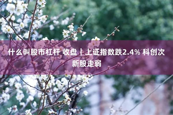 什么叫股市杠杆 收盘｜上证指数跌2.4% 科创次新股走弱