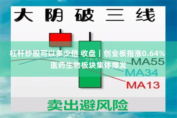 杠杆炒股可以多少倍 收盘｜创业板指涨0.64% 医药生物板块集体爆发