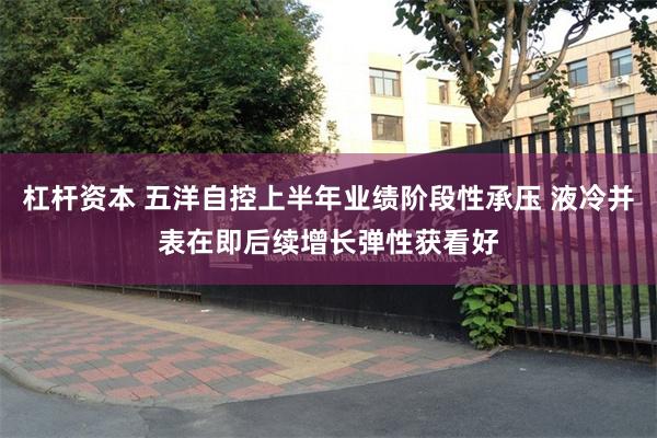杠杆资本 五洋自控上半年业绩阶段性承压 液冷并表在即后续增长弹性获看好