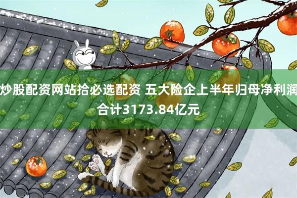 炒股配资网站拾必选配资 五大险企上半年归母净利润合计3173.84亿元