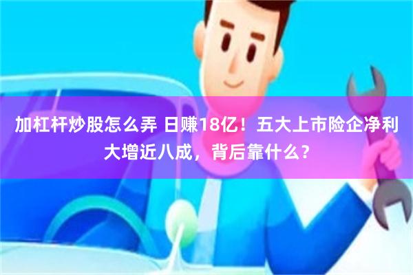 加杠杆炒股怎么弄 日赚18亿！五大上市险企净利大增近八成，背后靠什么？