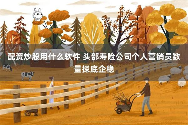 配资炒股用什么软件 头部寿险公司个人营销员数量探底企稳