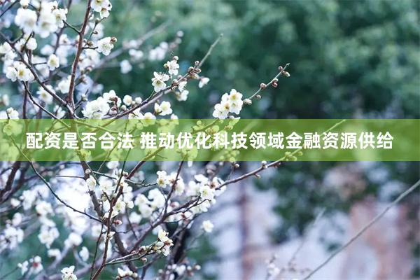 配资是否合法 推动优化科技领域金融资源供给