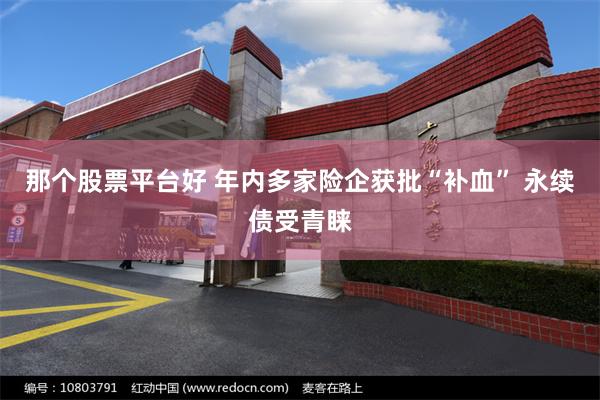 那个股票平台好 年内多家险企获批“补血” 永续债受青睐