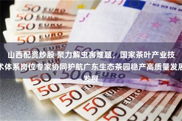 山西配资炒股 聚力解虫害难题，国家茶叶产业技术体系岗位专家协同护航广东生态茶园稳产高质量发展