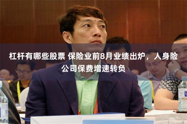 杠杆有哪些股票 保险业前8月业绩出炉，人身险公司保费增速转负