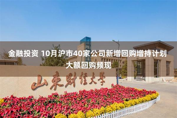 金融投资 10月沪市40家公司新增回购增持计划 大额回购频现